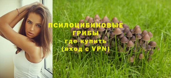 мет Верхний Тагил