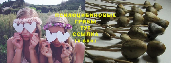 мет Верхний Тагил
