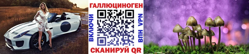 блэк спрут зеркало  Сочи  Галлюциногенные грибы Cubensis 